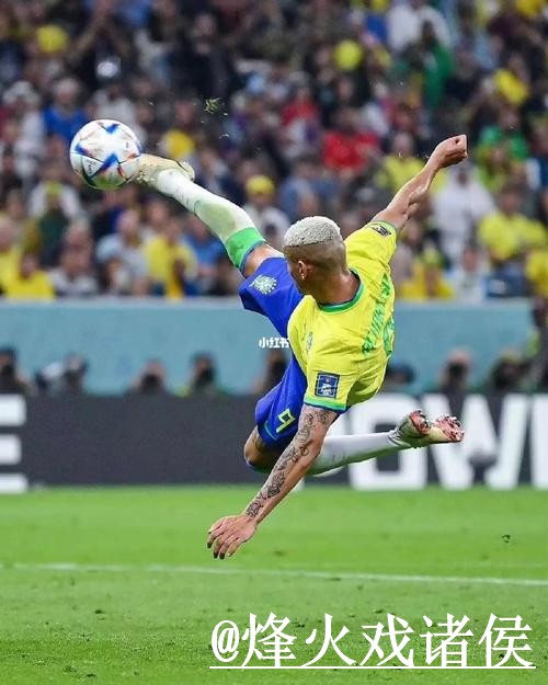 “如何找到世界杯盘口安卓最新网址并安全下注”